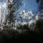 La Ciamusira *